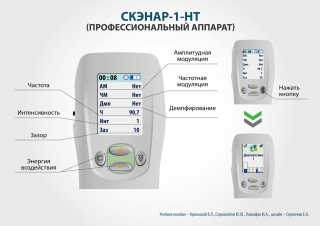 СКЭНАР-1-НТ (исполнение 01)  в Гатчине купить Медицинская техника - denasosteo.ru 