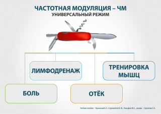 СКЭНАР-1-НТ (исполнение 01)  в Гатчине купить Медицинская техника - denasosteo.ru 