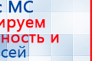 СКЭНАР-1-НТ (исполнение 01)  купить в Гатчине, Аппараты Скэнар купить в Гатчине, Медицинская техника - denasosteo.ru